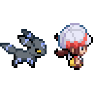 Follower Pokémon Umbreon following Trainer